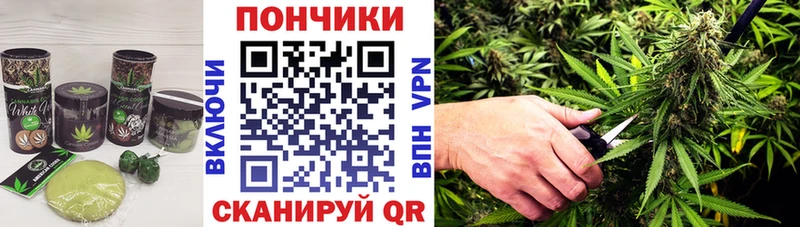 Купить  Кашира  Canna-Cookies конопля 