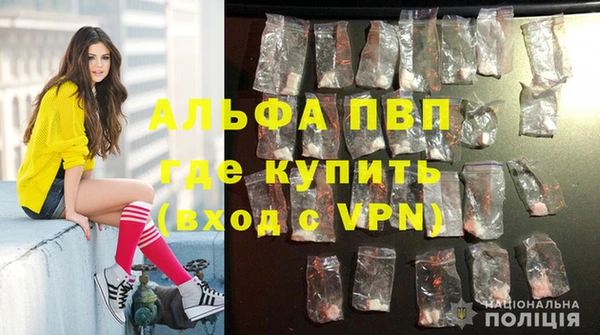 jwh Магас