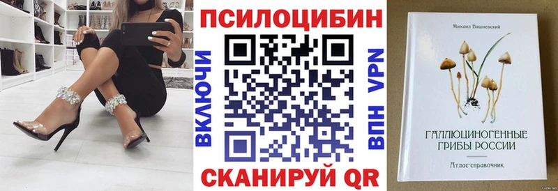 Купить закладки  Кашира  Псилоцибиновые грибы GOLDEN TEACHER 
