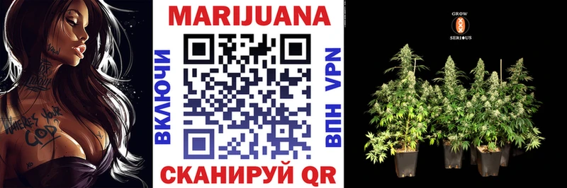 Купить закладки  Кашира  Шишки марихуана гибрид 